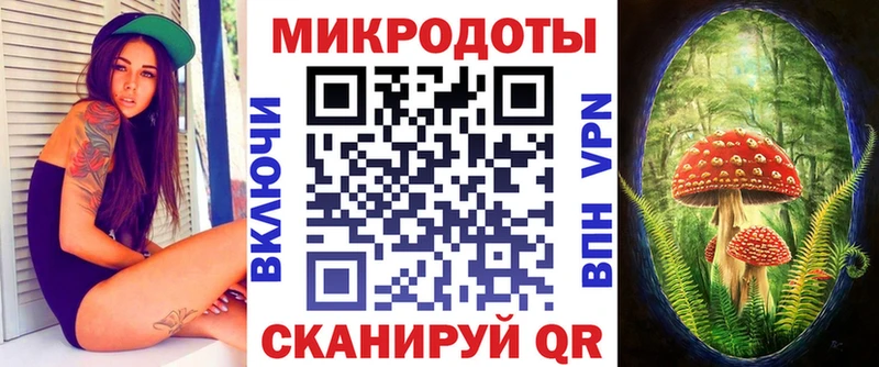 мега   Казань  Галлюциногенные грибы Psilocybe 
